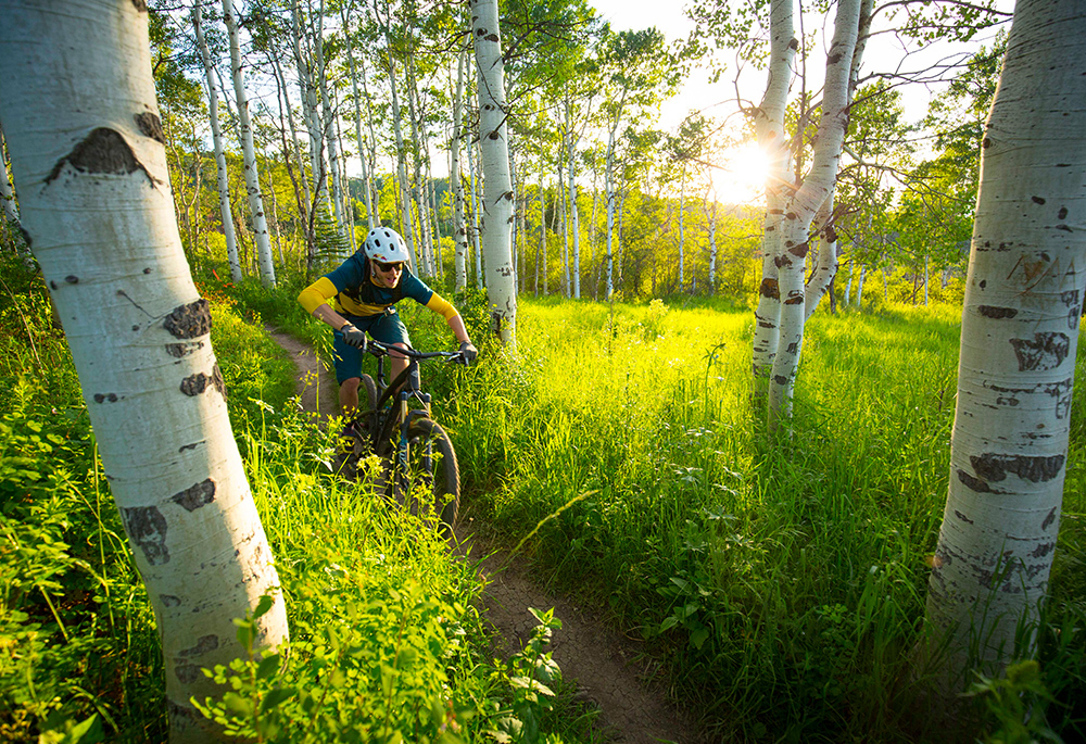 A mountain biker rides on a singletrack trail through a stand of aspen trees