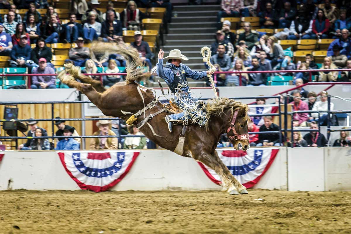 Someone in cowboy clothing is on the back of a kicking and galloping horse mid-air in the National Western Complex in Denver for the National Western Stock Show.