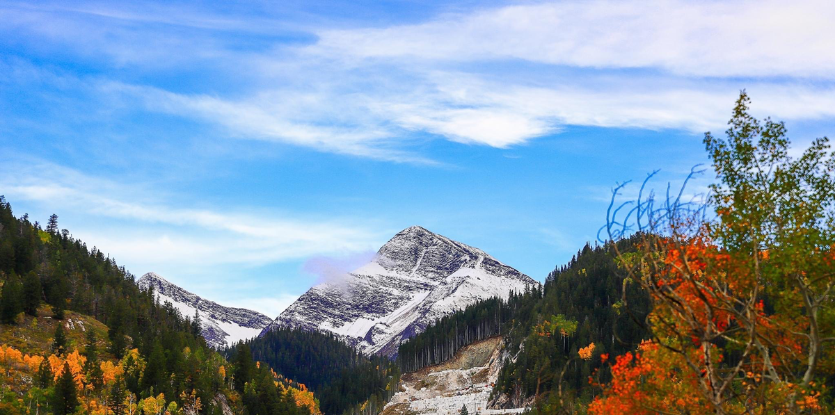 A snowcapped mountain peak reaches toward the blue sky. In the foreground evergreen trees are met with golden leaves and red bushes.