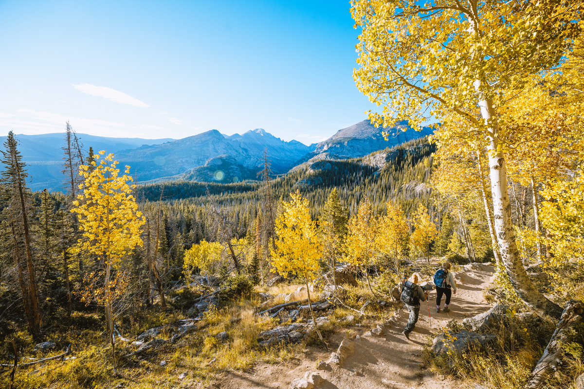 Two people hike on a trail lined with golden-leafed aspen trees with mountain views in Estes Park, Colorado.