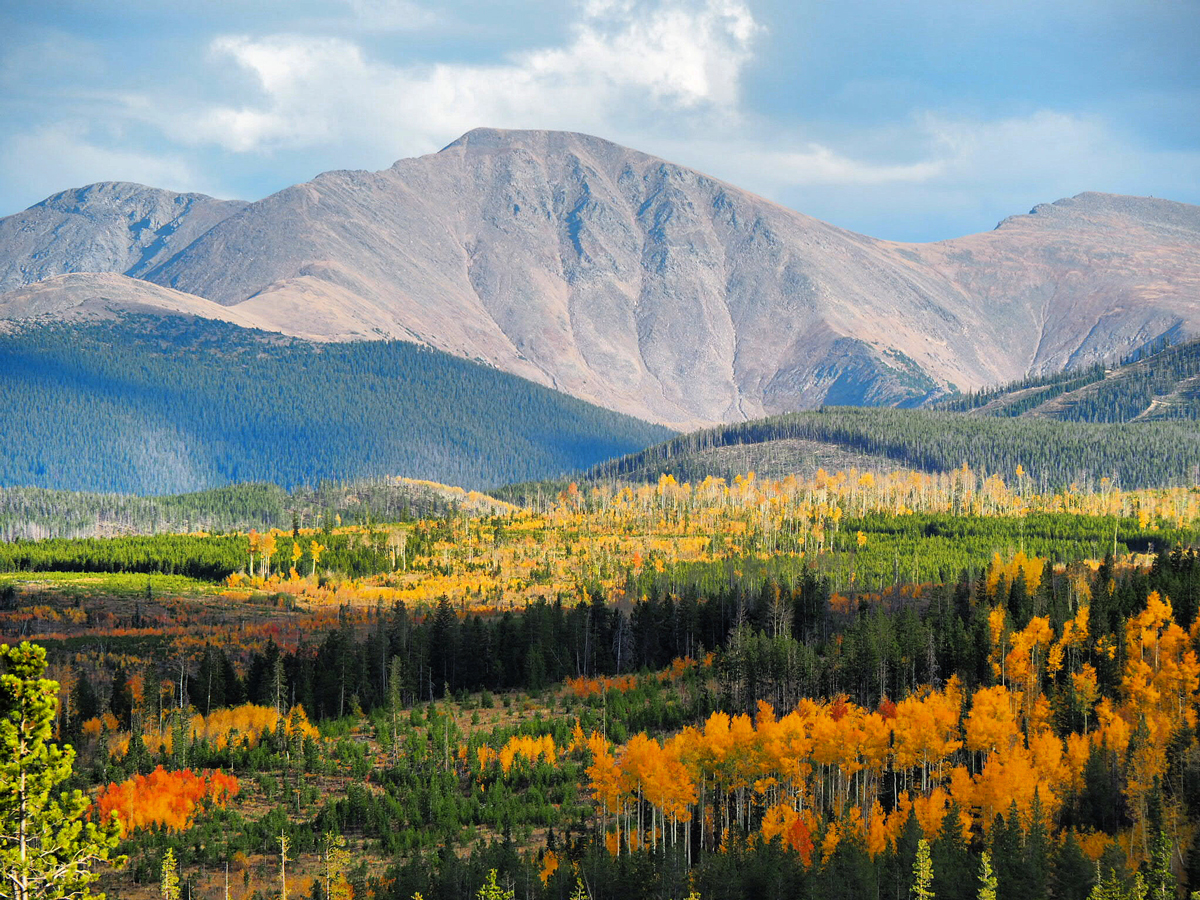 A distant jagged peak in Winter Park, Colorado, looming over hills of pine trees and orange-leafed aspens.