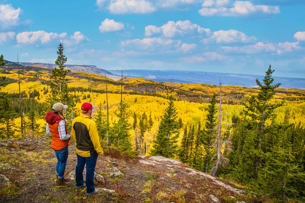 Two people in warm-weather clothing stand side by side gazing out at a magnificent spread of yellow, orange, green and golden leaves before them in Grand Mesa National Forest in Grand Junction, Colorado. The sky above is a light blue and scattered with fluffy gray clouds.