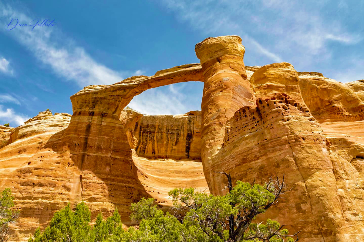 The large and curving arch of Rattlesnake Arch in Rattlesnake Canyons in McInnis Canyons National Conservation Area in Grand Junction. The formations jut and tower above shrubbery, with multi-colored brown and tan stripes through the sides of them. The sky above is blue and mostly clear.