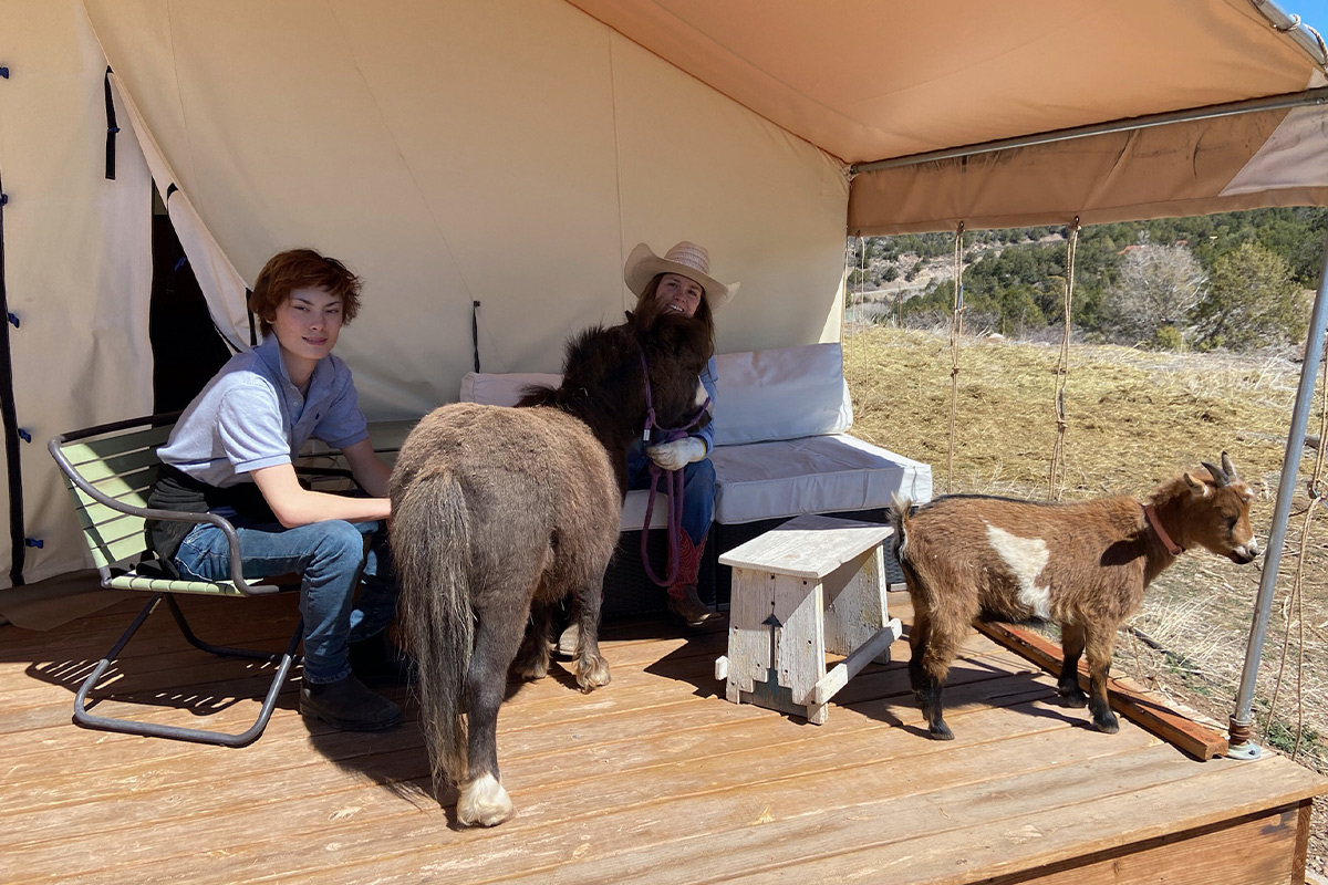 A parent and child sit on a porch outside a safari-style canvas tent at Cedar Ridge Ranch in Colorado. They are joined by a small goat and a chocolate-colored pony.