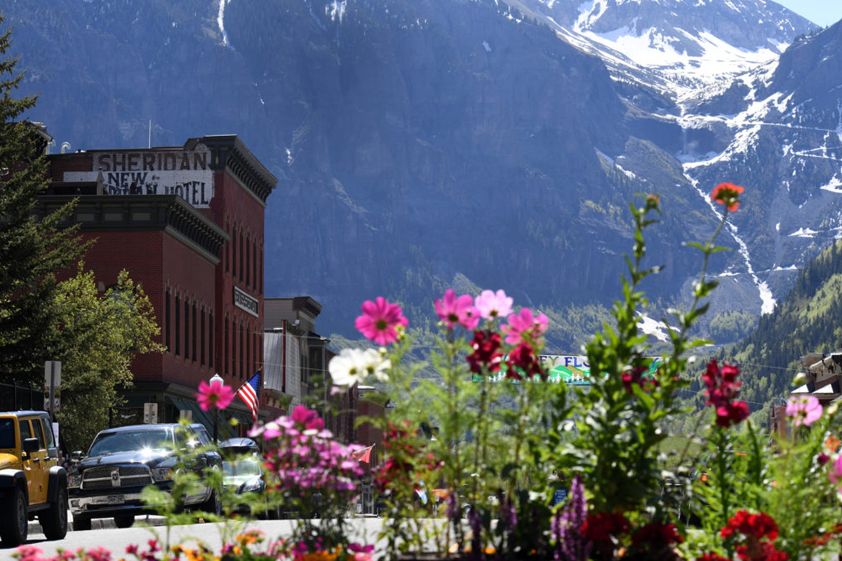 Pink, burnt orange and purple flowers soak in the rays of the sun in the foreground. Behind them, the New Sheridan Hotel in Telluride Colorado sits beneath snowy mountains.