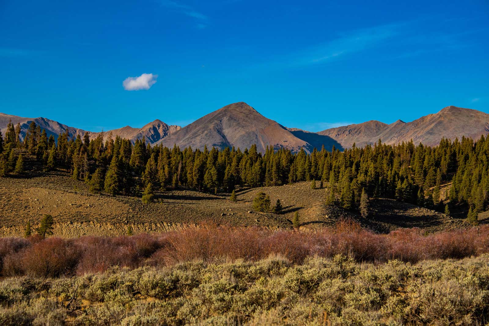 Under a bright blue sky a peak rises up from colorful trees and shrubs