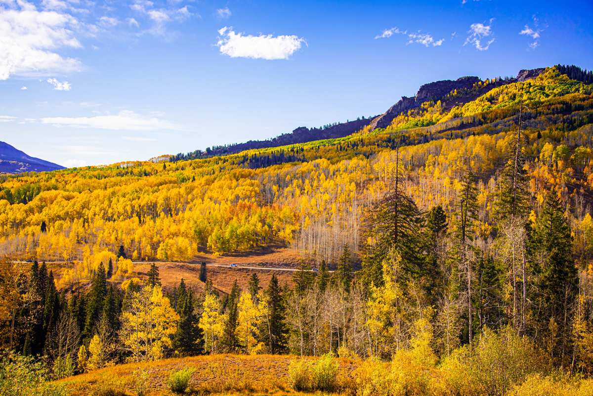 A car winds up a road flanked with orange and gold trees along Kebler Pass near Crested Butte, Colorado.  