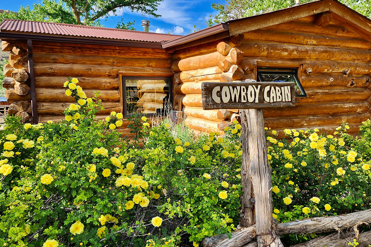 A garden outside the Cowboy Cabin is abundant with tall , verdant plants and buttery-yellow blooms.