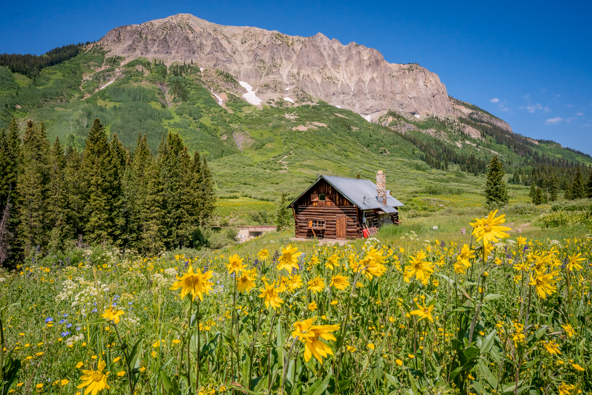 A cabin set amid a field of yellow wildflowers with mountains rising in the background in Created Butte Colorado. 