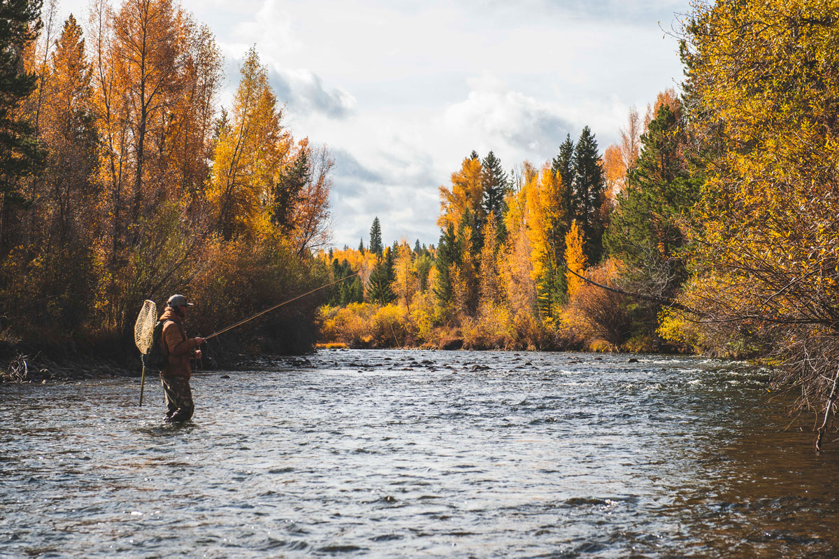 Fly-fishing in the quiet water with golden autumn trees as a backdrop