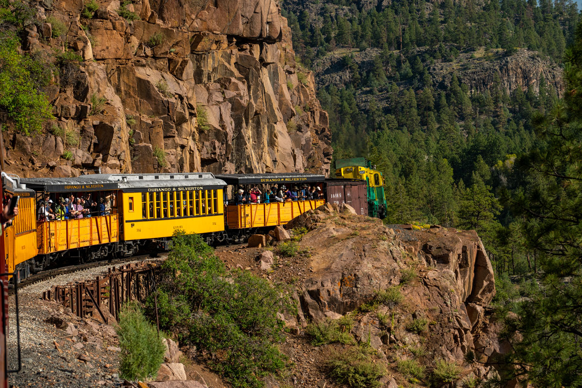 A yellow Durango & Silverton train with passengers rides into the lush San Juan National Forest in Colorado
