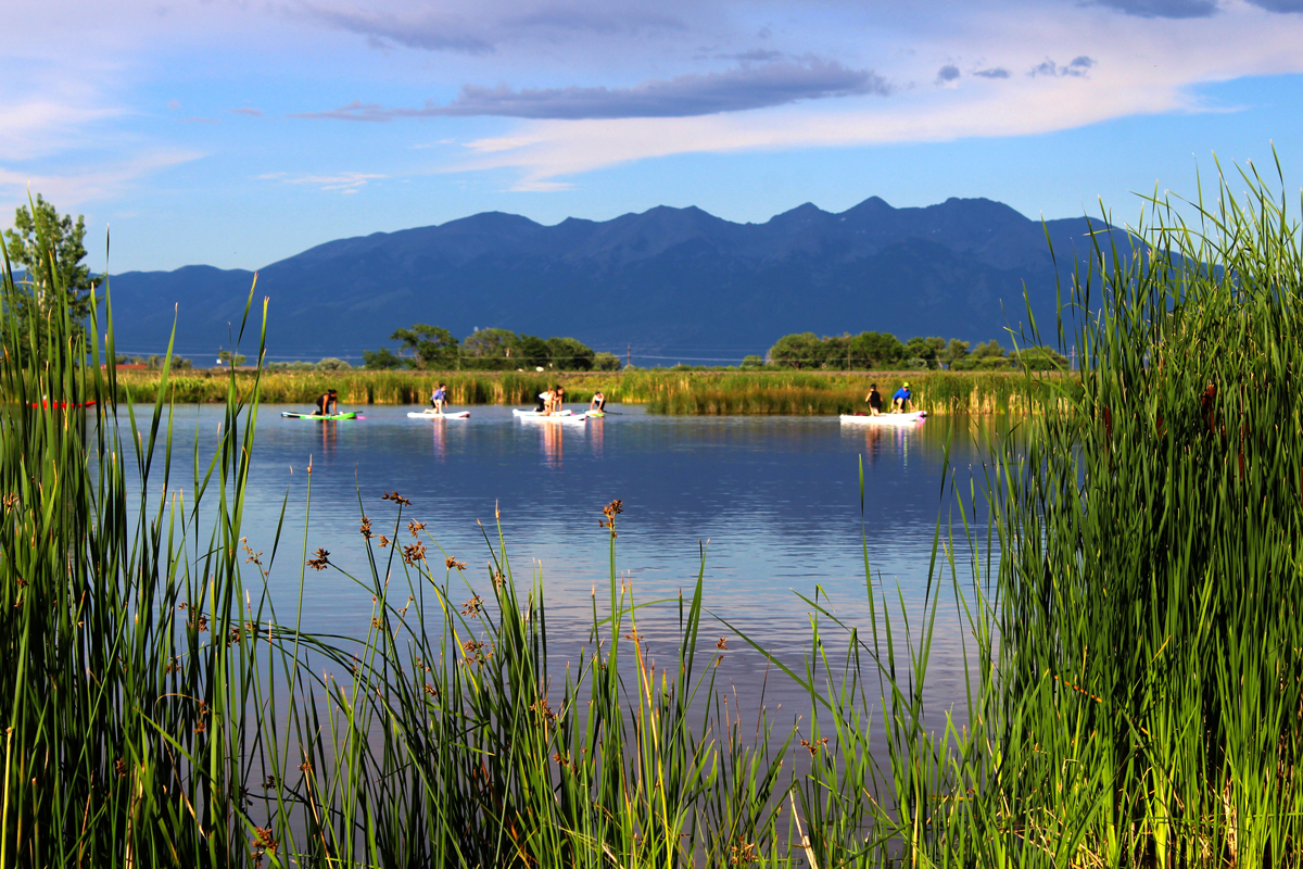 Several people paddleboarding  on a lake at Blanca Vista Park in Alamosa Colorado with tall grasses surrounding and mountains in the background