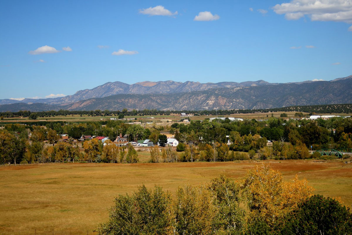 Golden grasses roll up to trees just starting to change colors with the Collegiate Peaks in the background of Poncha Springs, Colorado