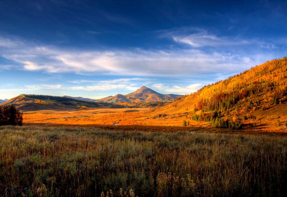 Tall green grasses lead up to a hill covered in evergreen trees that are bathed in golden light. The sky is a deep blue with whispy clouds and a mountain peak sits off in the distance.