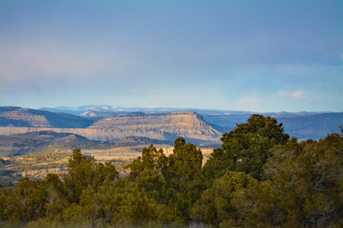 In front of pine trees, the mesas of Rangely are basked in golden sunlight.