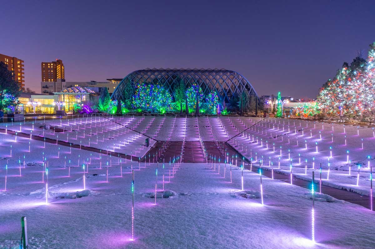 A field at the Denver Botanic Garden is blanketed with a layer of snow and setup with many neat rows of purple and blue lit poles.
