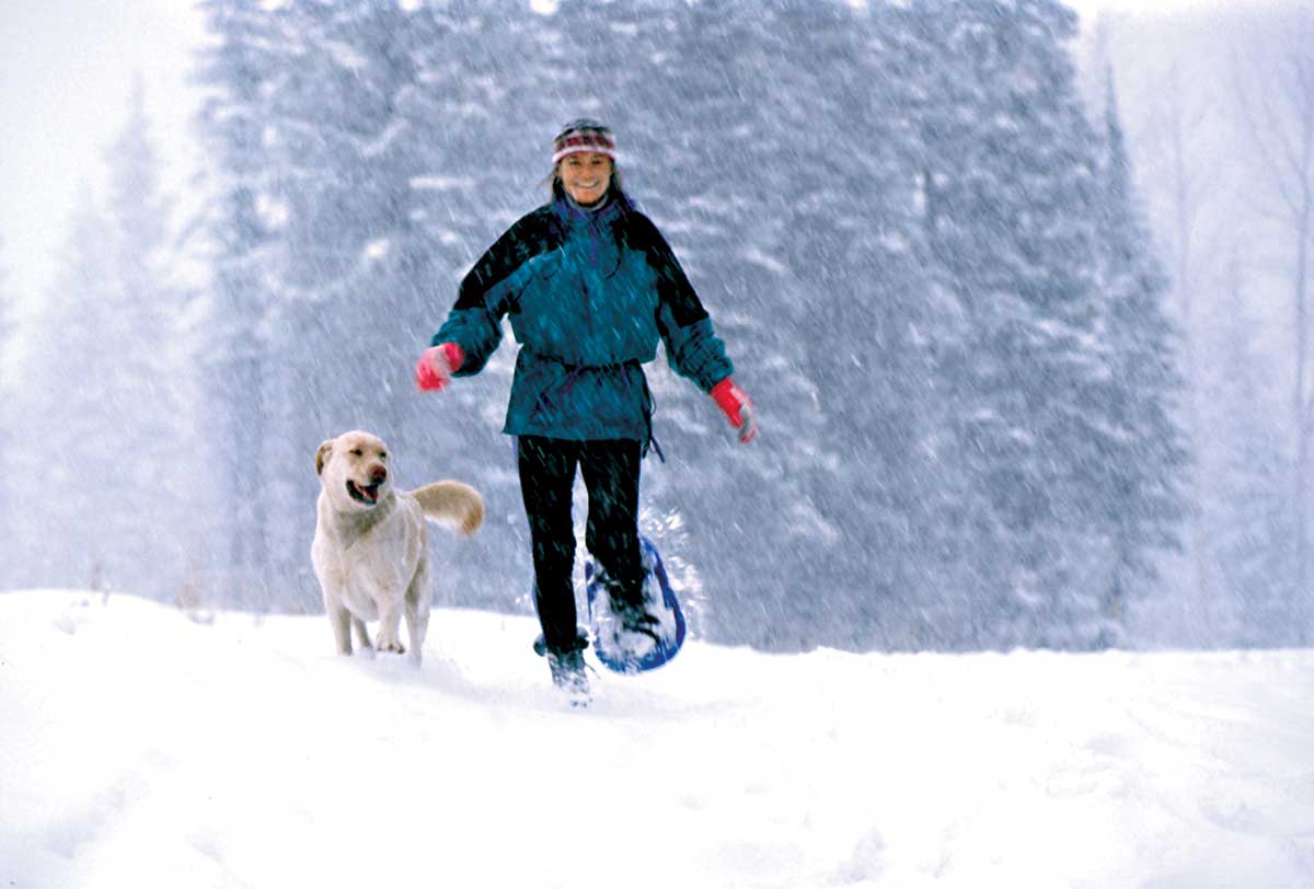 A snowshoer and their dog trot along a snowy trail while more snow falls on them