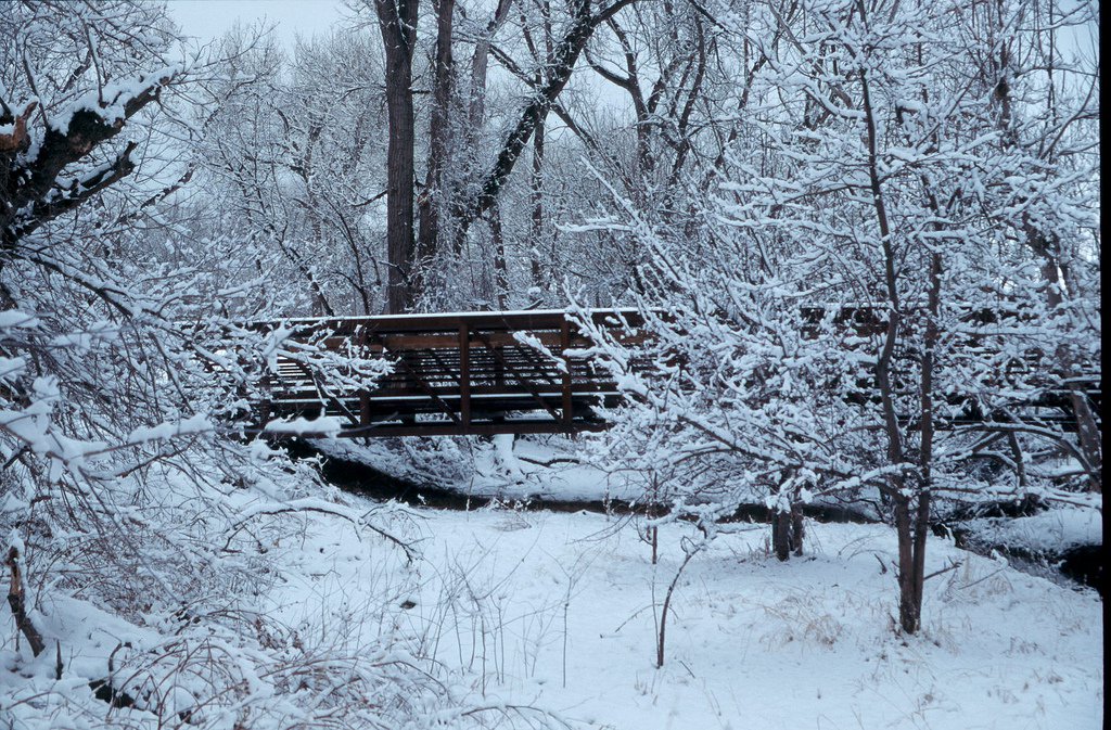 A walking bridge sits in the middle of a park after a recent snow. Everything is covered in a layer of bright-white snow.