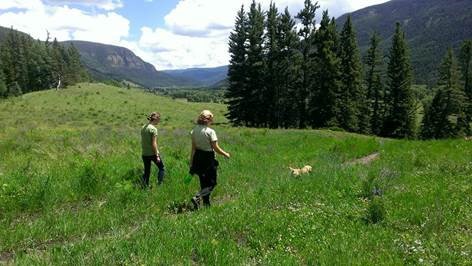 A small dog leads the way on a small dirt track through tall, green grasses near Alamosa, Colorado. Two people in long pants follow along in the grass.