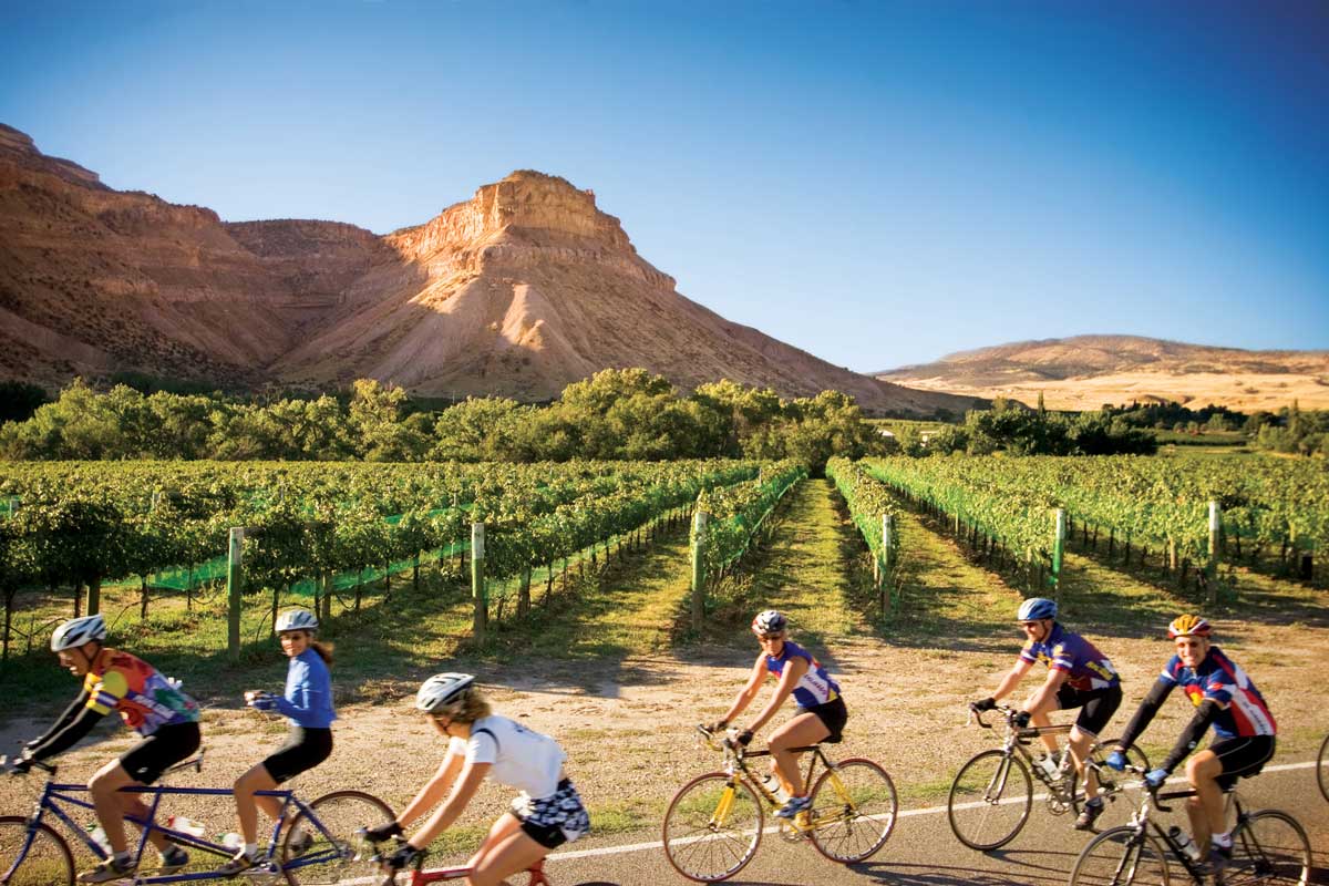Six road cyclists bike by green vines at a vineyard with red-rock buttes in the background.