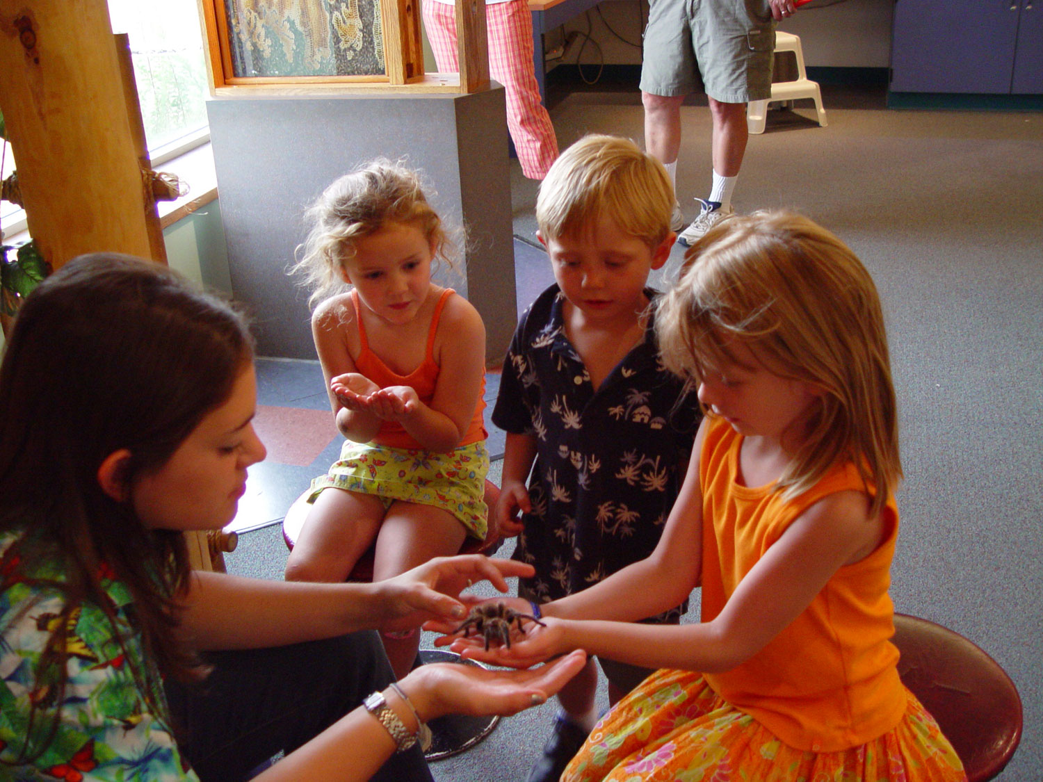 Three kids sitting on the floor reach out to touch a tarantula held by an adult at the Butterfly Pavilion.