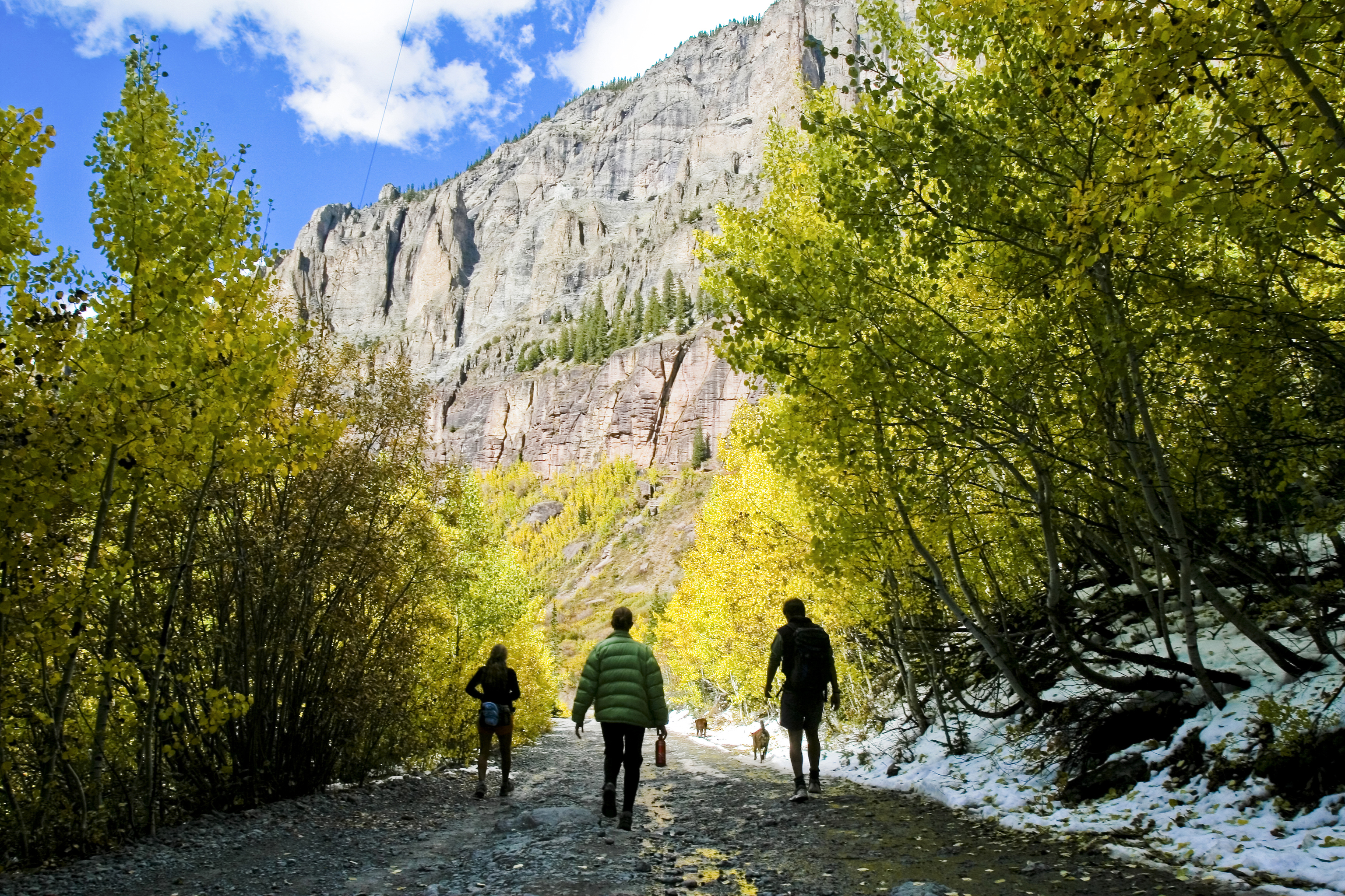 Under a blue sky, three hikers walk through an area shaded by green trees toward a mountain ridge.