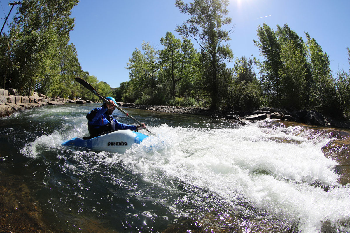 A person whitewater kayaks through Clear Creek surrounded by tall trees with green leaves and a blue sky. 