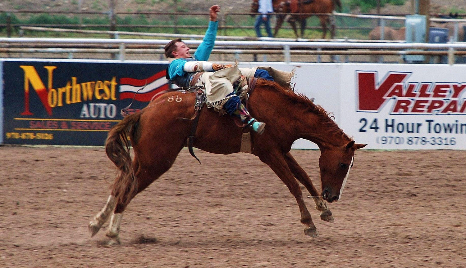 A rodeo cowboy sits astride a bucking bronco at a Rodeo in Meeker.