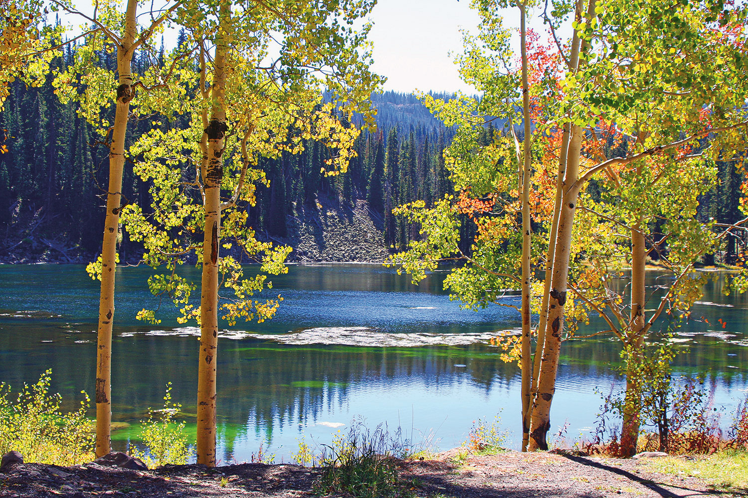 Young aspen trees with hints of fall colors frame the views of a shimmering lake in northwest Colorado. The other shore of the lake features tall pines and rock-filled steep.