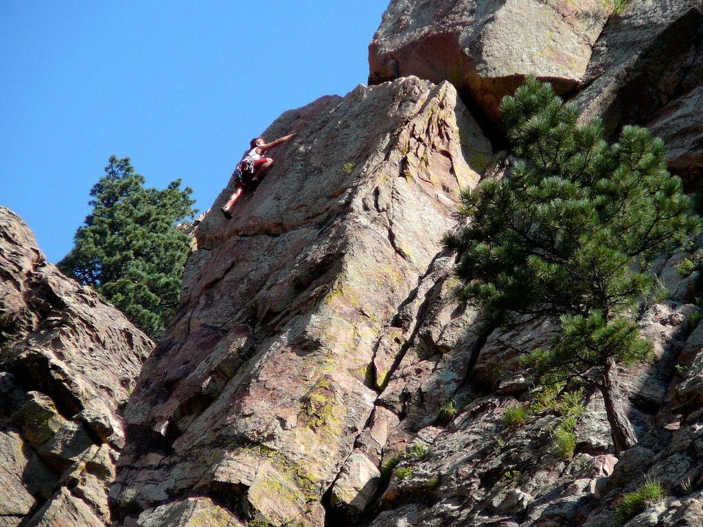 A climber scales a rock wall with a green tree to the right. In the background a blue sky looks on.