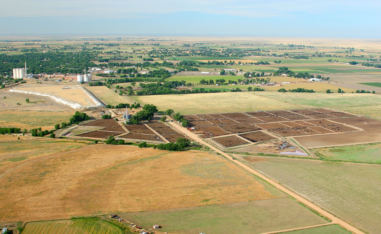 An aerial view of farm fields in the summer in Rocky Ford