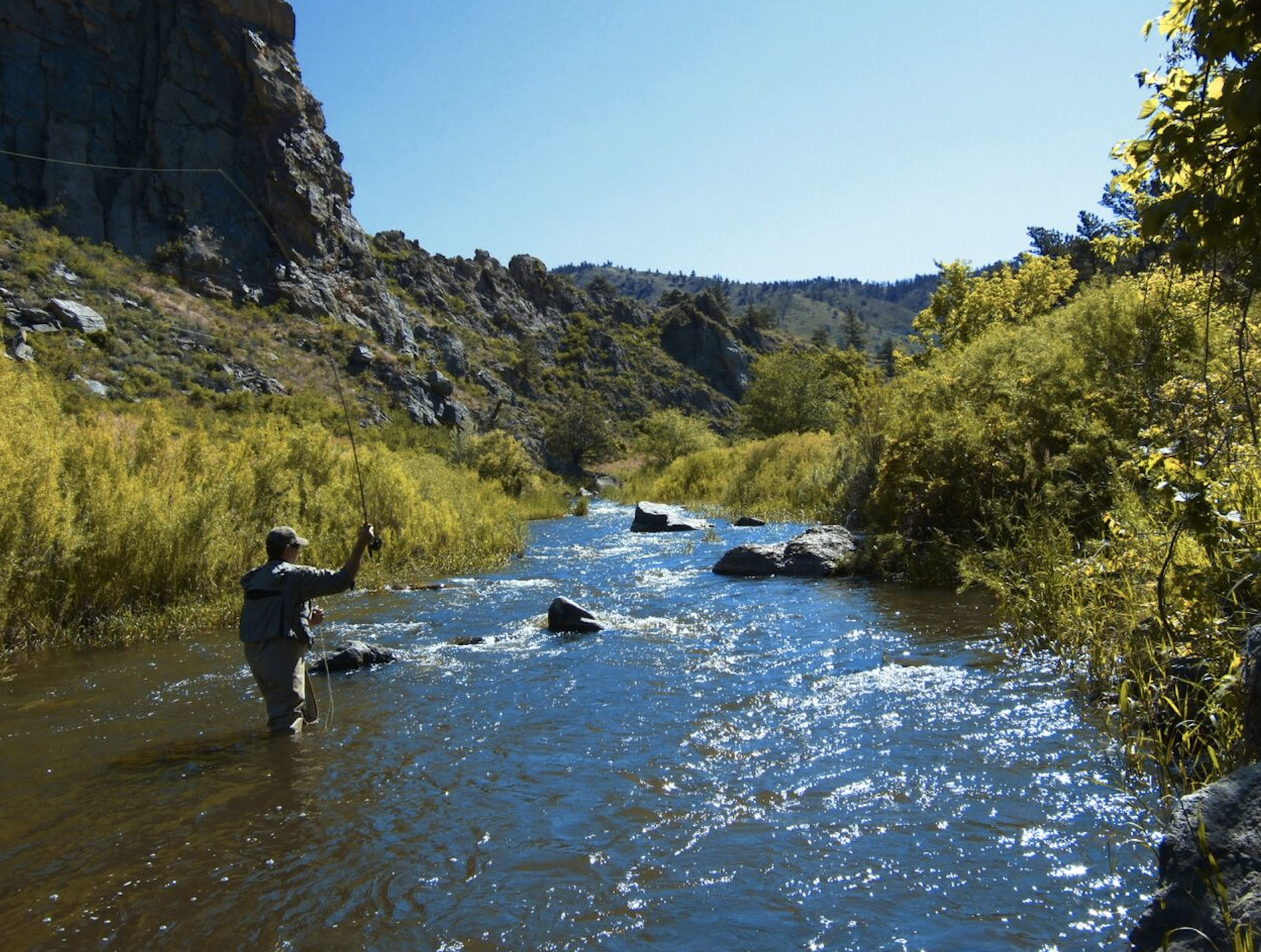 A solo fly fisher stands in the middle of a cascading Poudre River. The riverbanks are covered in green long grasses, scrubby bushes and trees. There are grey rocks and in the distance a hill meets the light-blue sky.