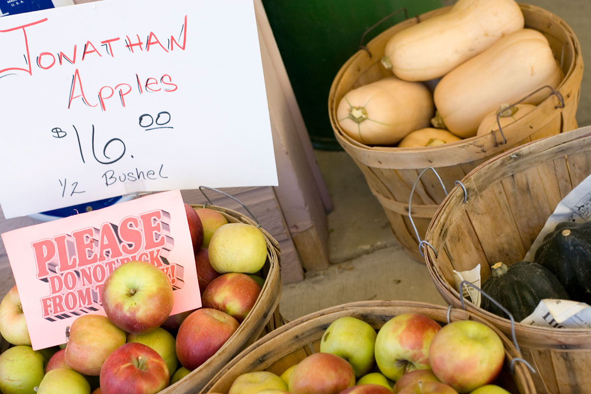 A table with wooden pails of apples and butternut squashes. There's a sign that says "Jonathan Apples $16.00 1/2 bushel."