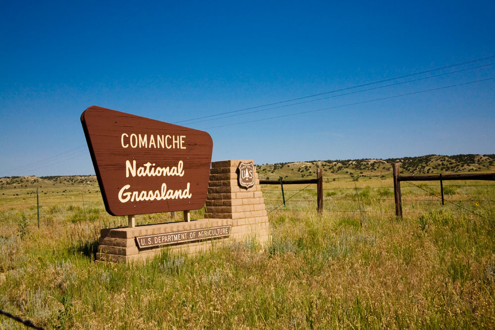 On a blue-sky day the entrance to Comanche National Grasslands sign sits in tall yellow and green grasses. The brown four-sided sign says "Comanche National Grassland" and sits in an L-shaped stone podium.
