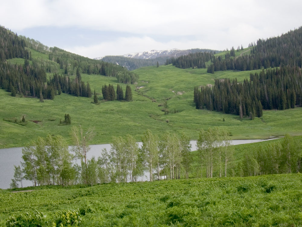 A lake in the Flat Tops Wilderness area in northwest Colorado is surrounded by rolling green hills and evergreen trees. 