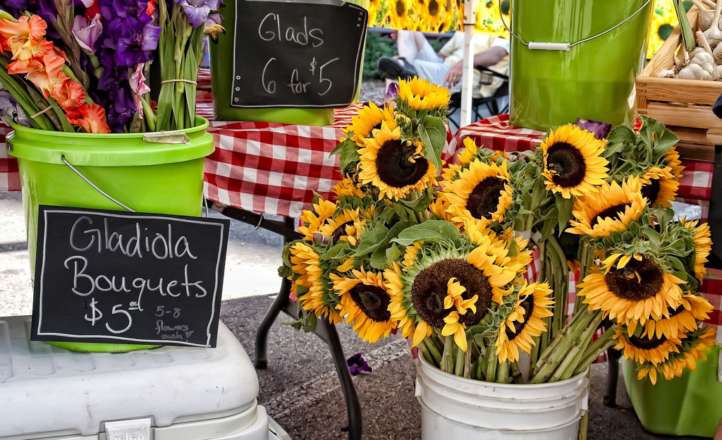 Vibrant-yellow sunflowers with large black middles sit in a white bucket on the ground at a Colorado farmers' market. Green buckets hold other types of flowers and chalk signs show prices.