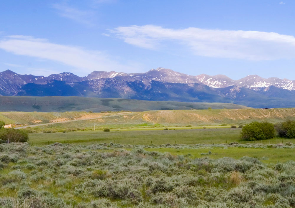Colorado's snow-capped Front Range sits in the background of the green foothills with scrubby plants on a summer's day.