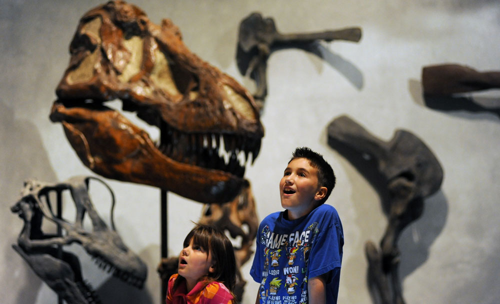 Two children stare with their jaws dropped in awe at something off camera at the Denver Museum of Nature & Science. Behind them, massive fossils are on display.