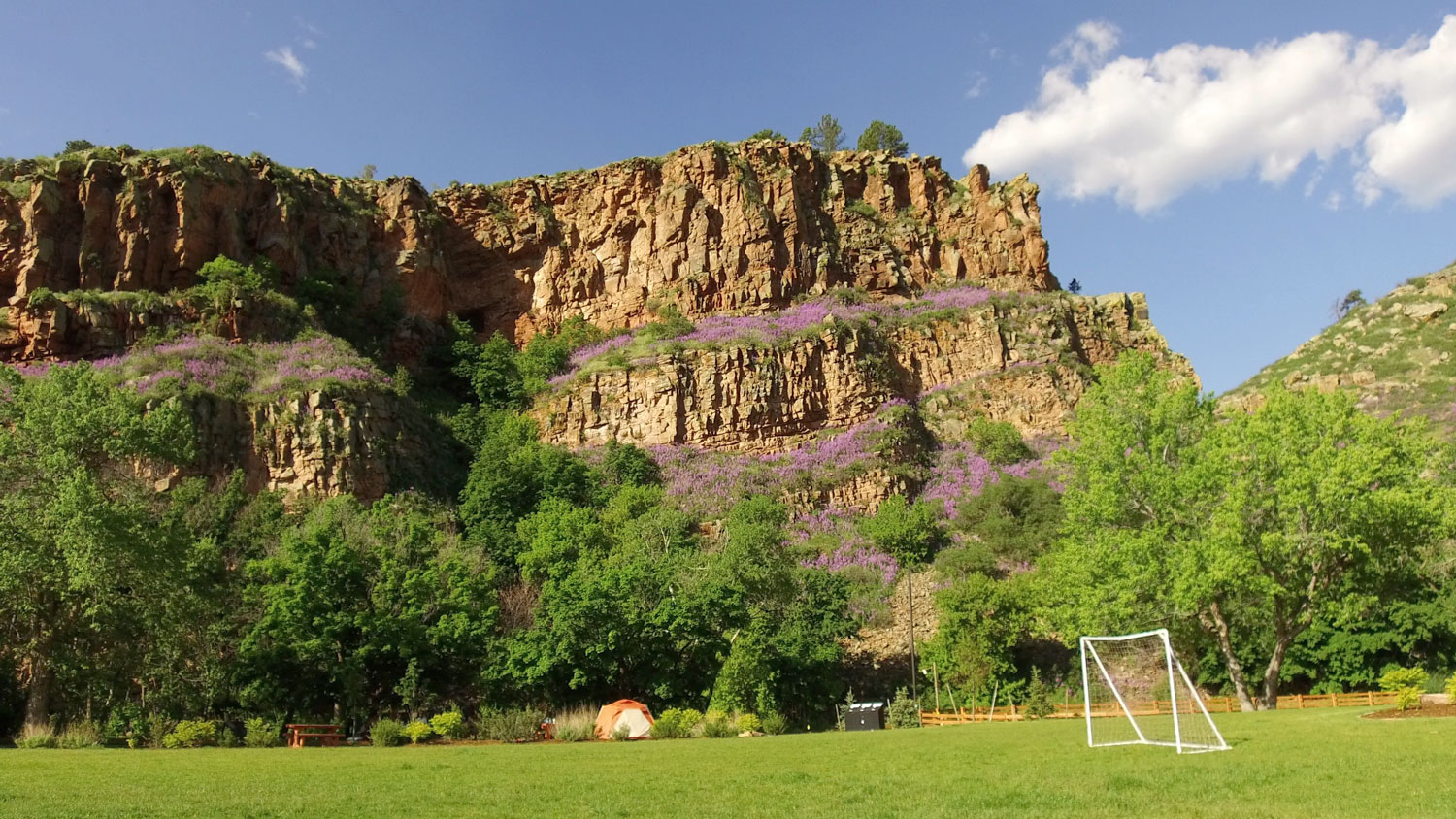 A rocky outcropping with purple wildflowers growing on ledges sits above a field of green grass with a soccer net in it. There are trees with green leaves on them under a blue sky with a single cloud.