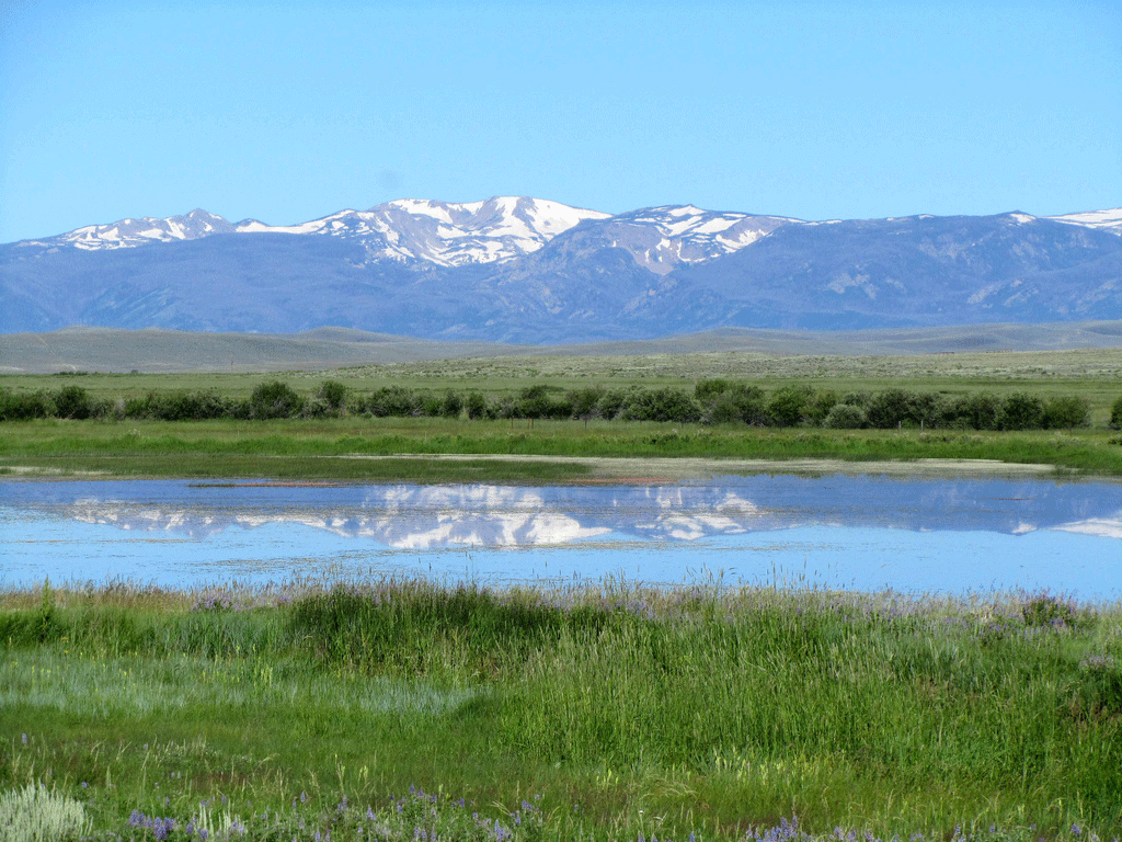 A snowcapped mountain peak is reflected in a lake surrounded by greenery