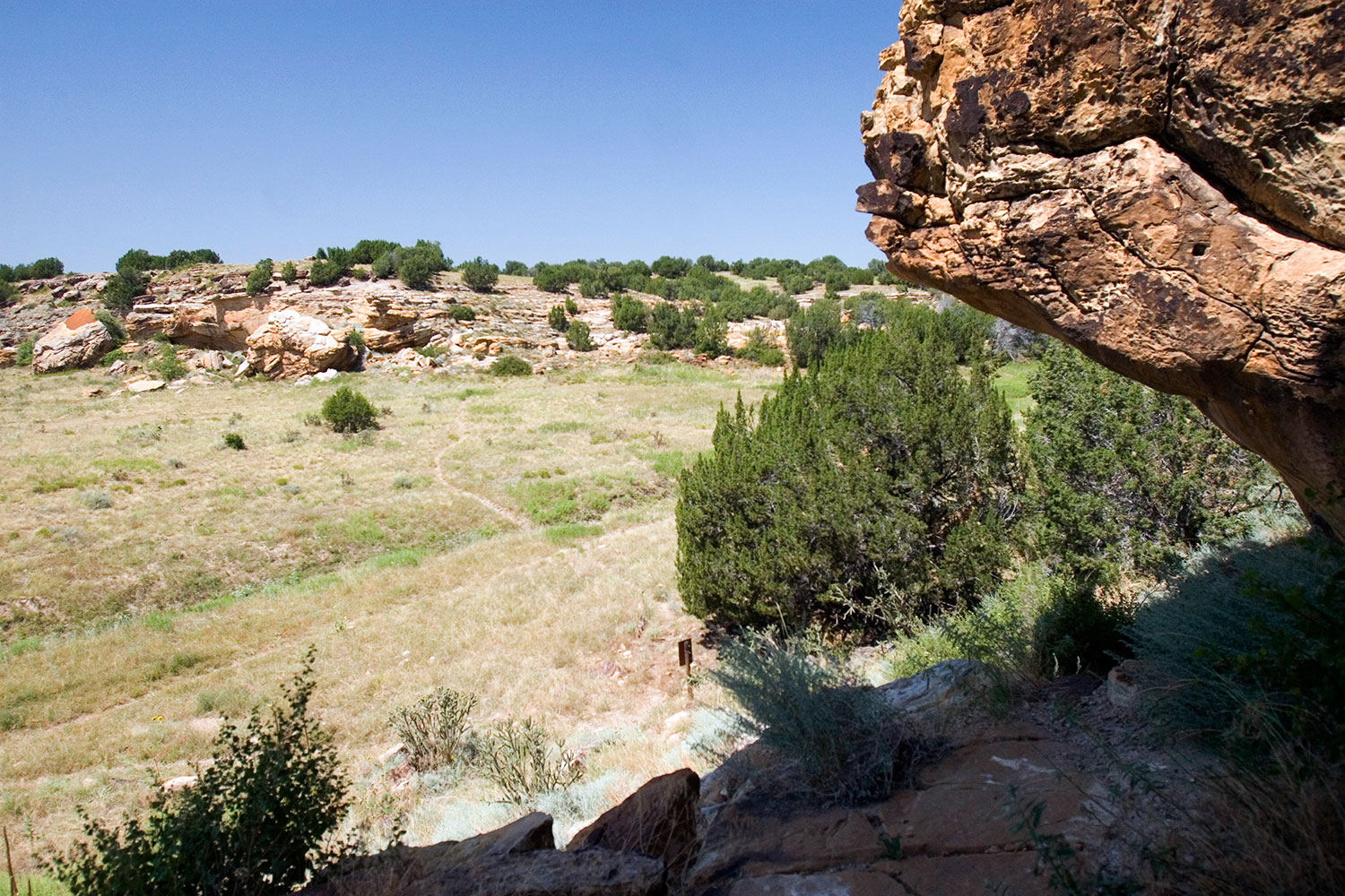 On a summer's day the Comanche National Grassland has rocky outcroppings, tall green and yellow grasses and brush bushes.