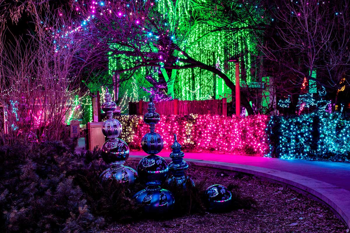 A paved walkway passes by decoratively stacked ornament at the Denver Zoo in Colorado. Nearby trees and bushes are lit up with pink, aqua-blue, purple and neon-green holiday lights.