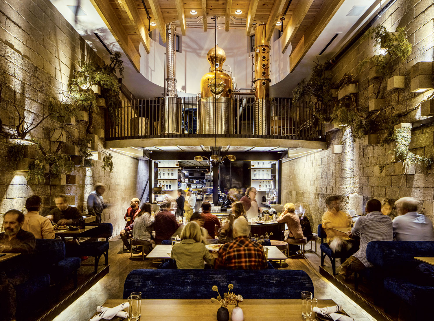 A gold-looking machine sits on an indoor balcony space for diners at The Family Jones in Denver, Colorado to look up at. The room is decorated with plants along the walls and blue seating.