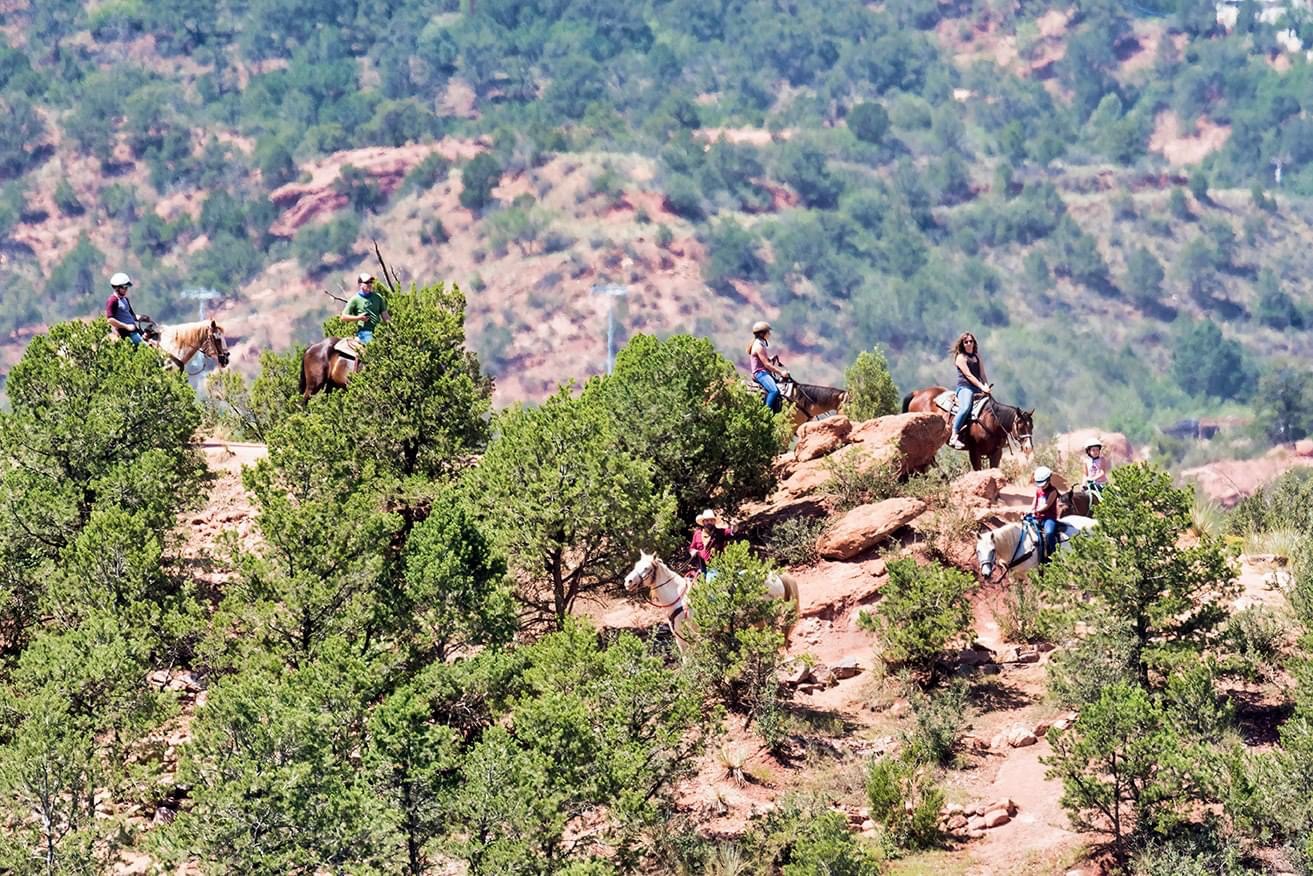academy riding stables photo