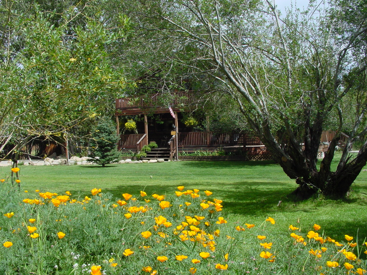 buffalo peaks b&b photo