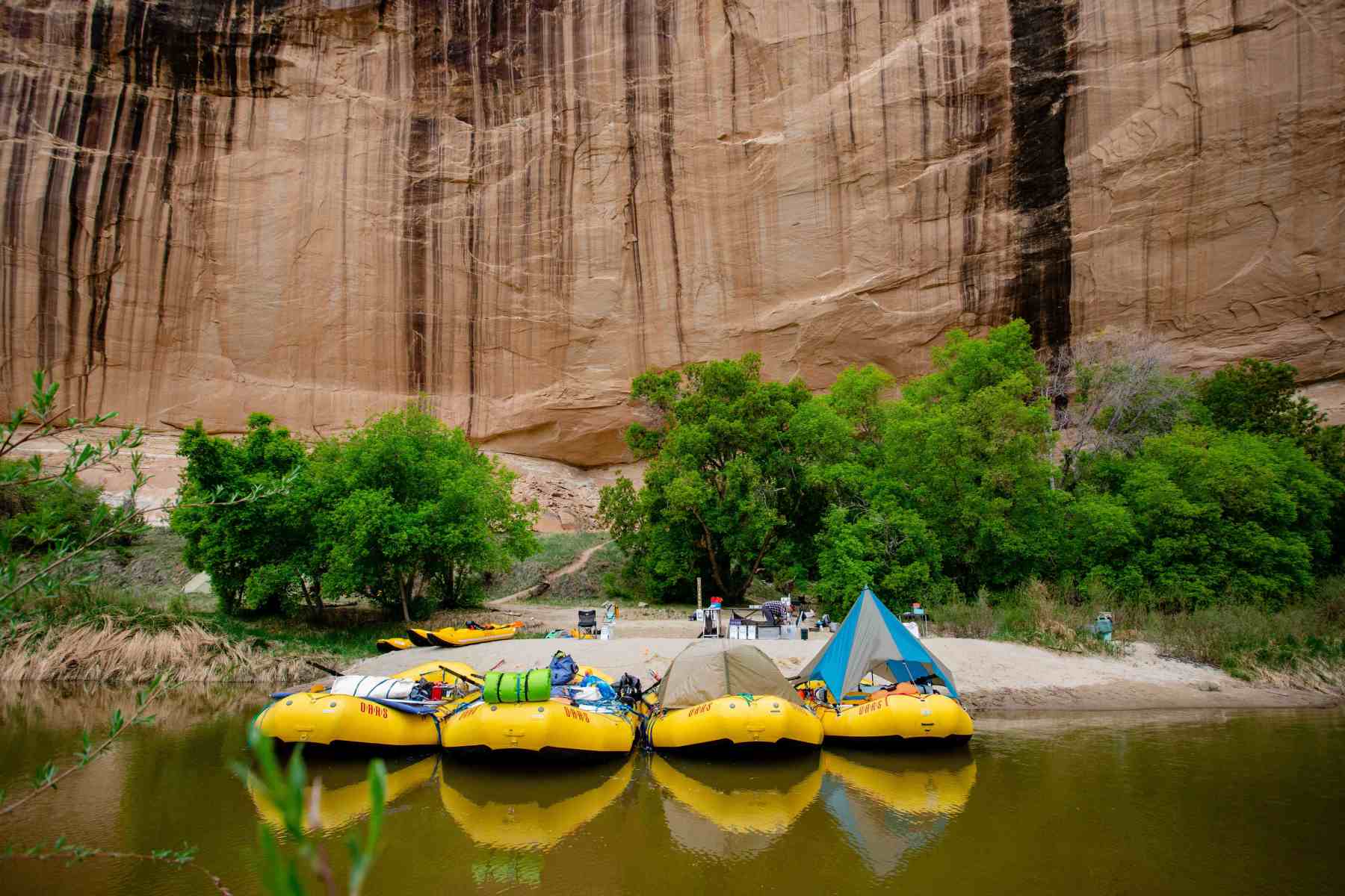 yampa river rafting in dinosaur national monument photo 8