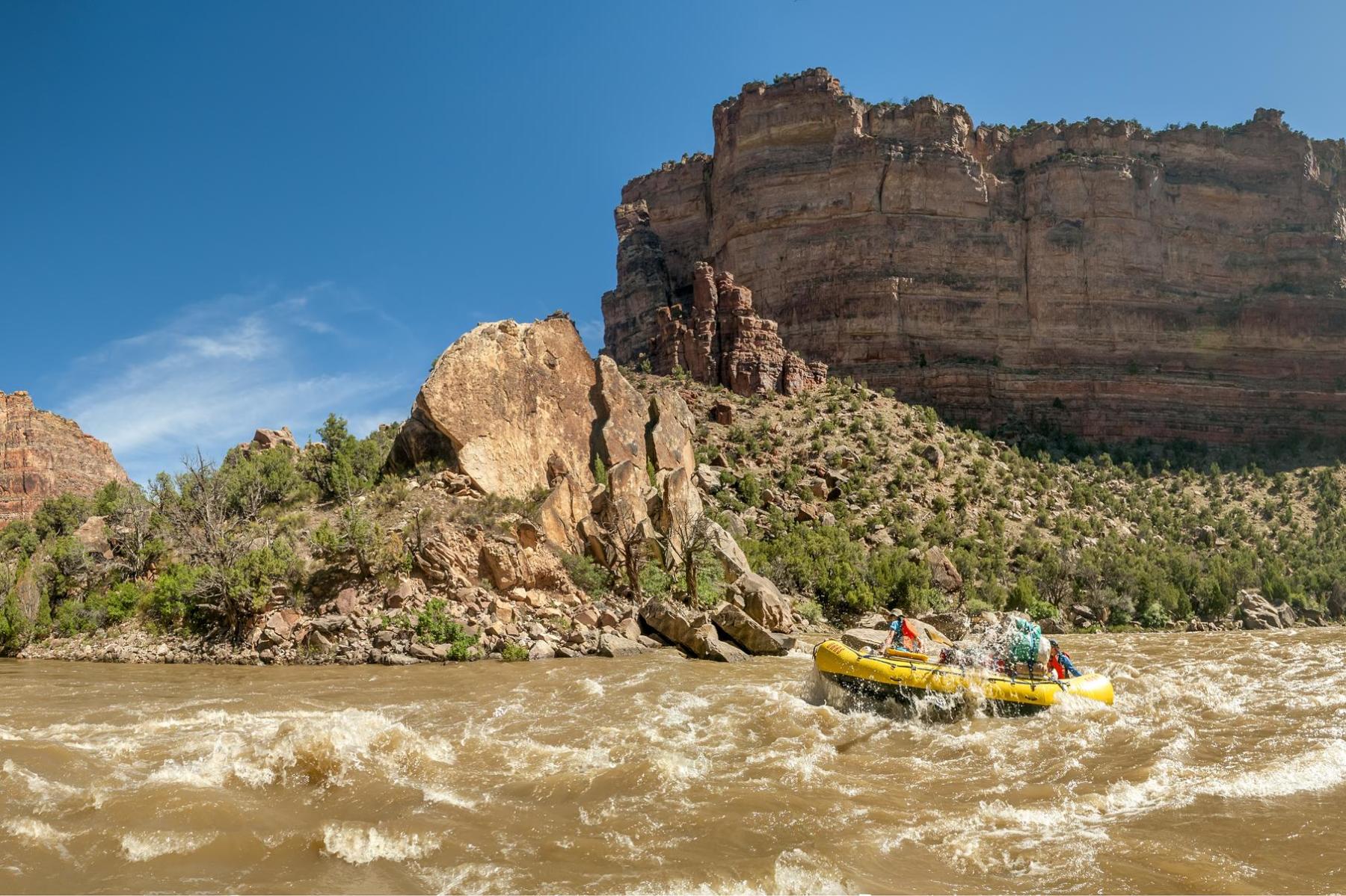 yampa river rafting with oars photo 3