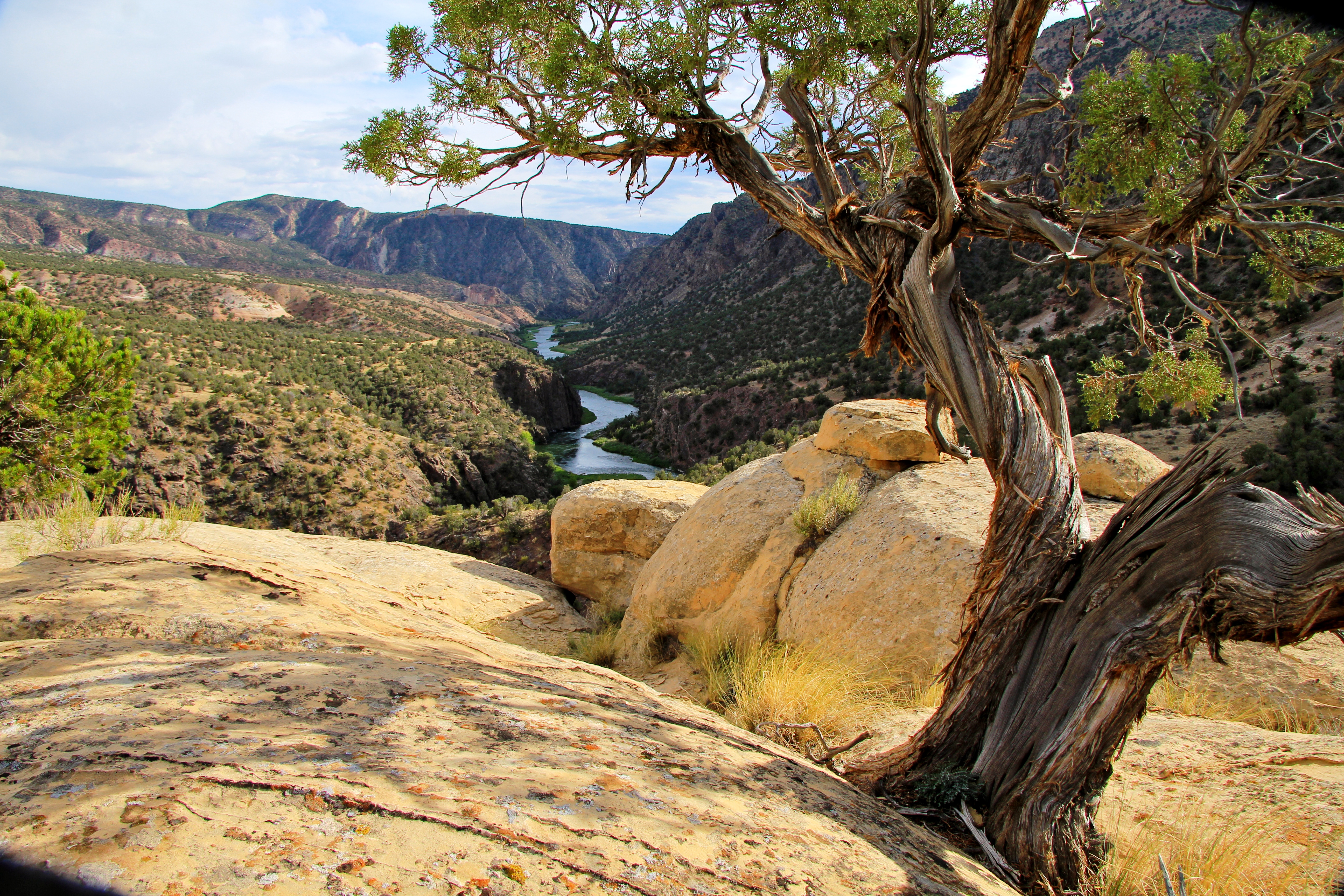 gunnison gorge wilderness from the ute trail photo
