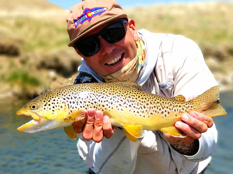 book your trip today! photo