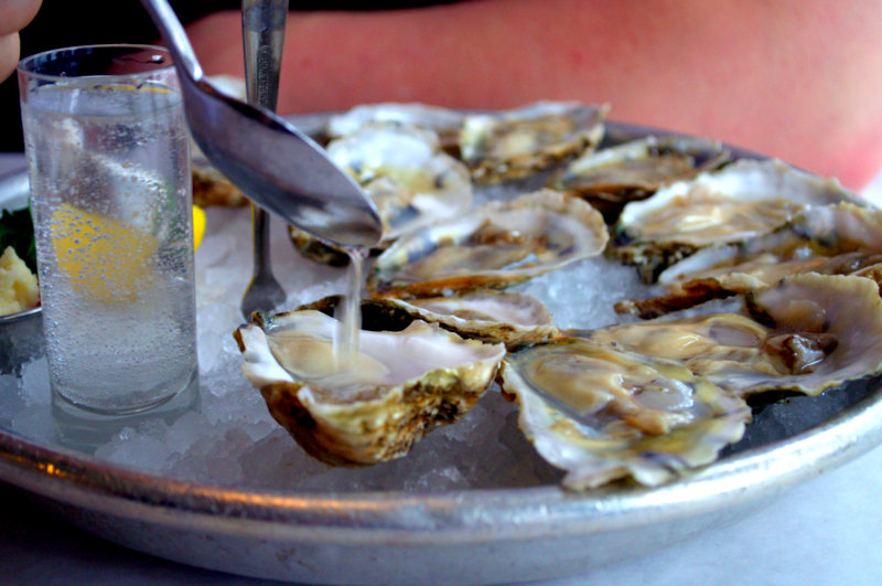 oysters photo